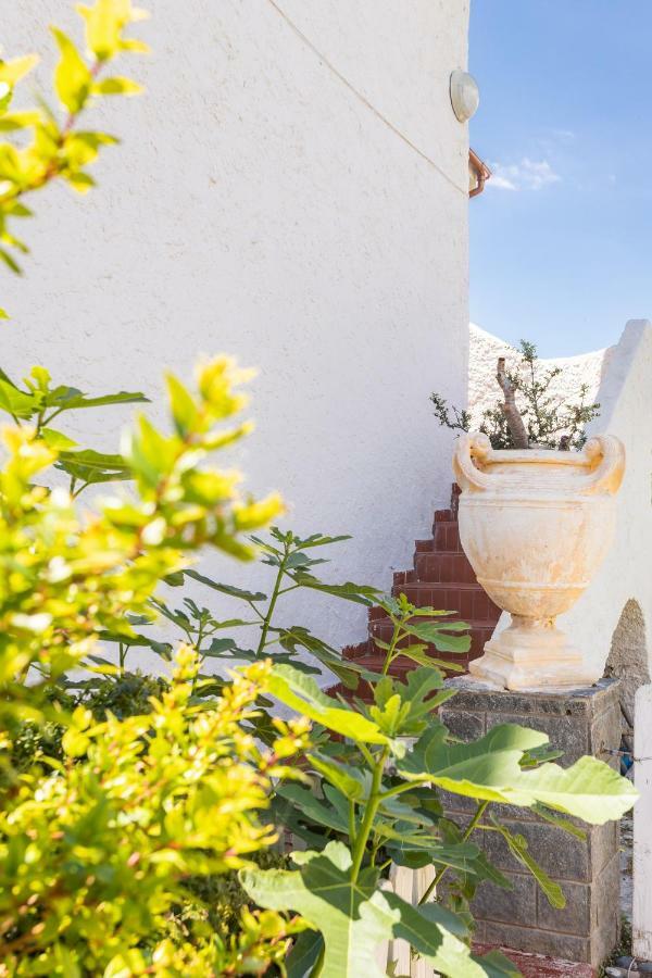Gangdigiorgia Villa Капитана Екстериор снимка